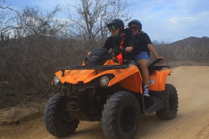 Double ATV Migriño Beach & Desert - What you’ll see: mangroves, cactus country, and wildlife