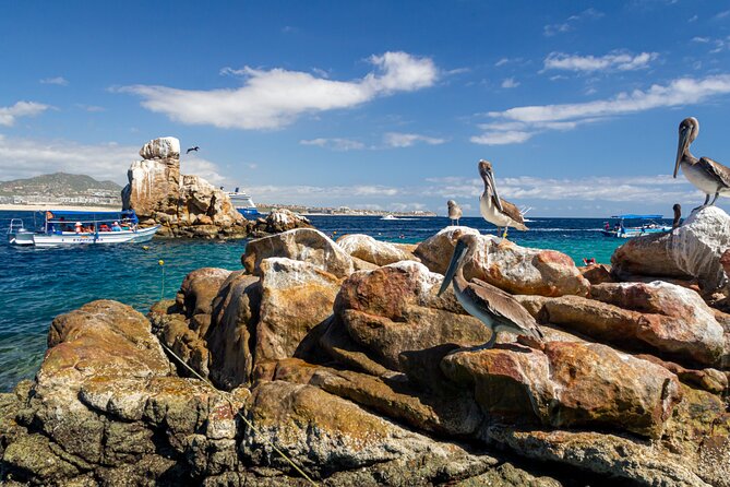 Experience the Clear Boat adventure & Cabo San Lucas City Tour - Entering the day with a clear-b0at focus