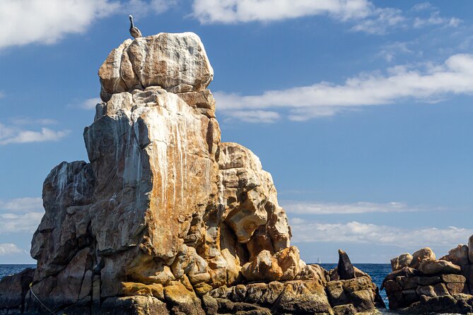 Experience the Clear Boat adventure & Cabo San Lucas City Tour - Air-conditioned van, guide-as-driver, and group size
