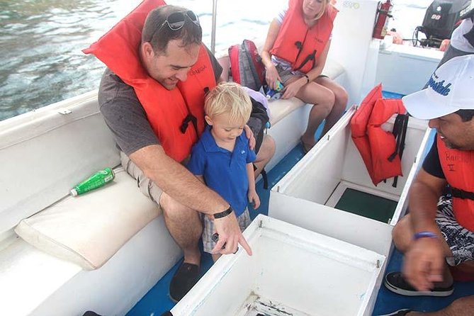Famous Arch tour with Glass Bottom Boat. - Check-In at the Marina: Finding the Dock and Staying Sane