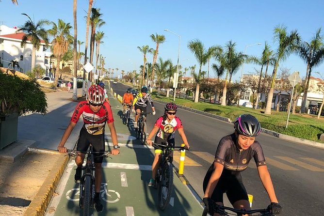 Following the bike lane, discover the main attractions of San José del Cabo - Gallery District art walk: how tourism took root