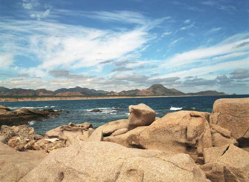 From Cabo: Cabo Pulmo Marine Park Snorkeling and Kayaking - Snorkeling at protected reefs: multiple spots for better sightings