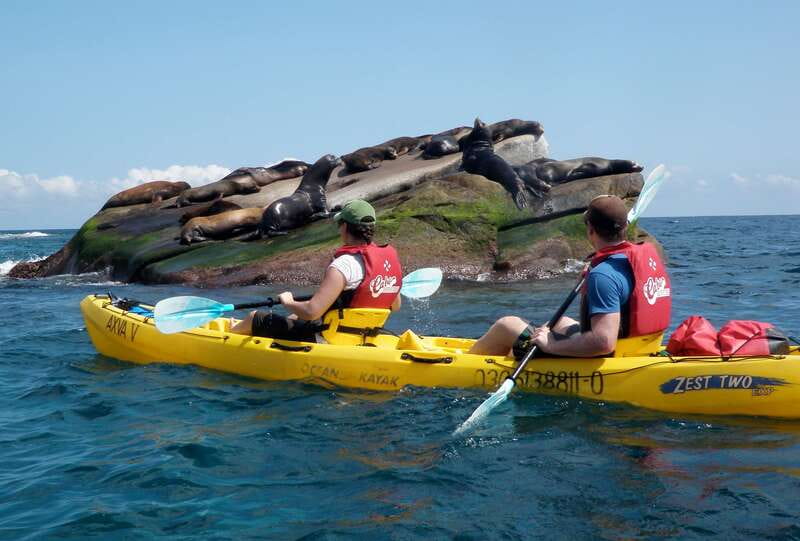 From Cabo: Cabo Pulmo Marine Park Snorkeling and Kayaking - Cabo Pulmo lunch: classic Mexican fare after salt water