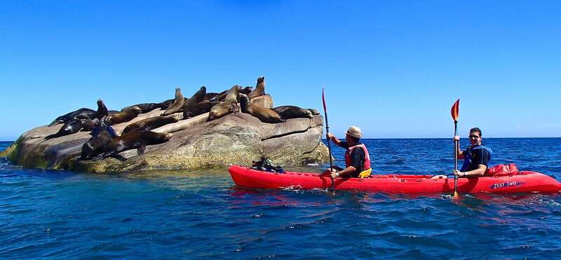 From Cabo: Cabo Pulmo Marine Park Snorkeling and Kayaking - 9 hours of logistics that actually make sense