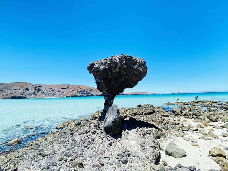 From Cabo/San José del Cabo: La Paz, Balandra & Todos Santos - The Big Idea: A Beach-to-Town Baja Day Trip