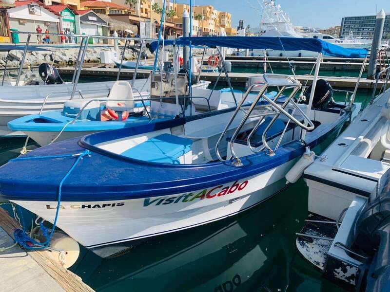 From Cabo San Lucas: Lovers Beach and El Arco Boat Trip - Key Things to Know Before You Go