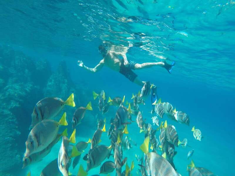 From Cabo San Lucas: Lovers Beach and El Arco Boat Trip - Entering the Scene: Why El Arco and a Glass-Bottom Boat Work