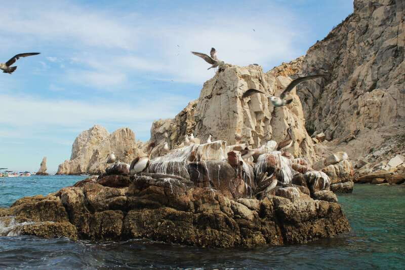 From Cabo San Lucas: Lovers Beach and El Arco Boat Trip - Price and Value: Does $61 Make Sense?