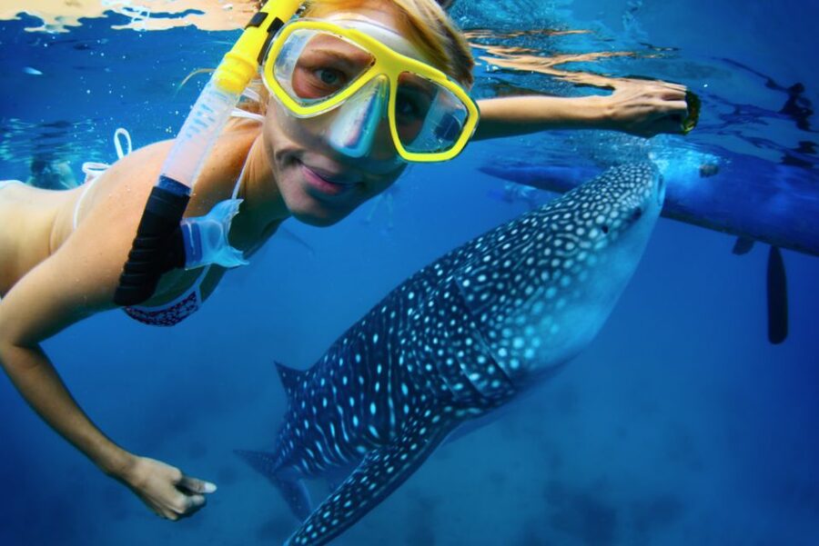 From Cabo: Snorkel with Whale Sharks in La Paz - Cabo to La Paz: the long van ride that sets the tone