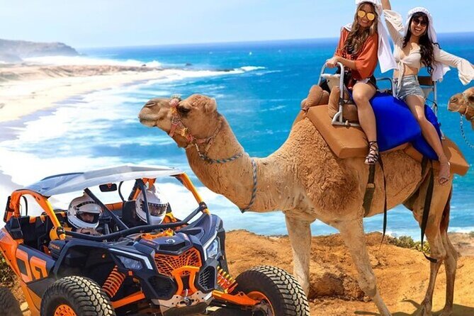 Fun Camel Ride and UTV COMBO with Tequila Tasting! - Quick hit checklist: What’s great and what you’ll notice