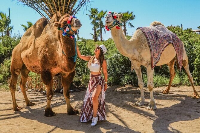 Fun Camel Ride and UTV COMBO with Tequila Tasting! - Price and value: What $109 covers (and what can add up)