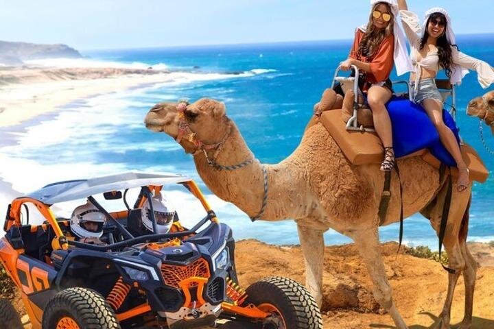 Fun Camel Ride and UTV COMBO with Tequila Tasting! - UTV or Side-by-Side: Baja speed through dunes and cliffs