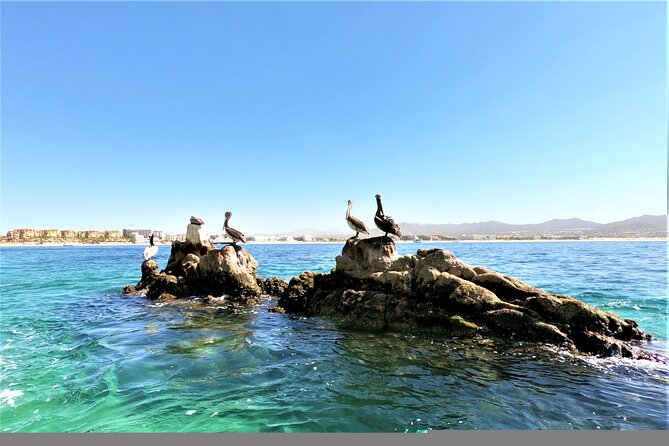 Glass Bottom Boat in Cabo San Lucas, free time in Playa del Amor - Love and Divorce beaches: funny names, real tide rules