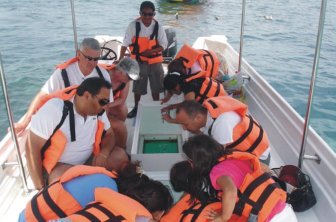 Glass Bottom Boat Ride to the Arch - Stop at El Arco de Cabo San Lucas: the photo moment and the meaning
