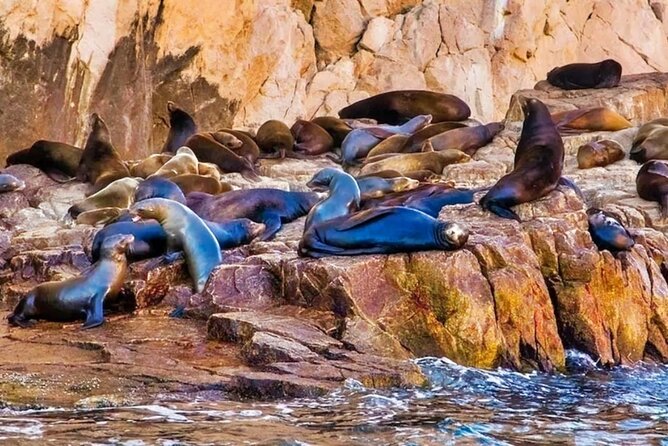 Glass Bottom Boat Sightseeing Tour in Cabo San Lucas - What’s included (and what isn’t) on the water