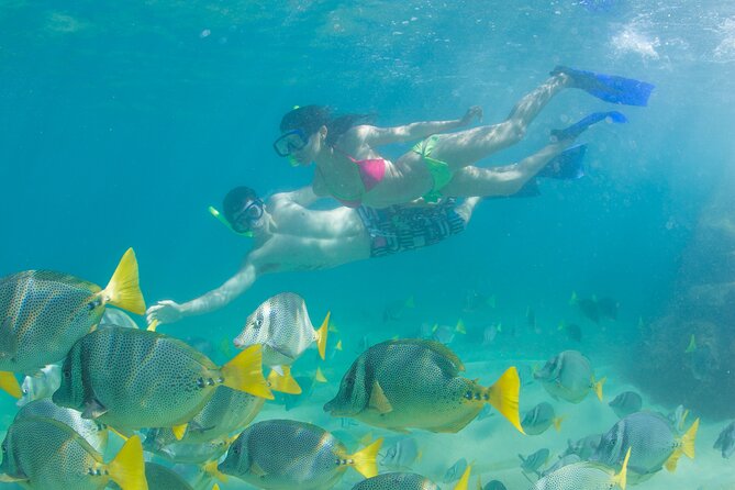 Glass Bottom Boat to the Arch and Lovers Beach: Optional Pickup - Pelican Rock And Neptune’s Finger: The Stops That Make You Look Down