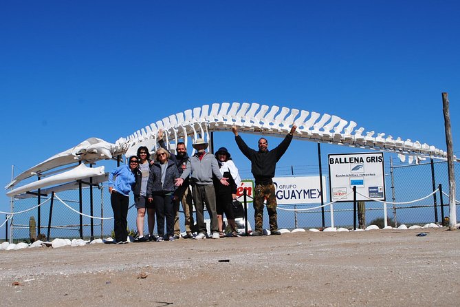 Gray Whale-Watching 2-Day Experience in Magdalena Bay - First Whale-Watching Tour: Chasing Spouts Inside the Channels