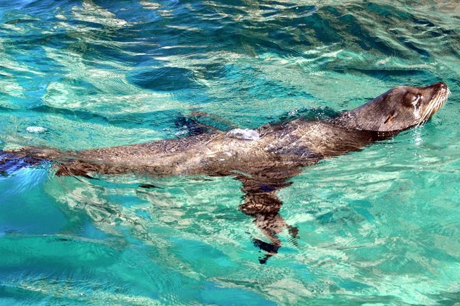 Guided Tour Los Cabos: Boat | Tacos & Tequila | Photos & Transfer - Who Guides This Tour and What You’ll Experience in the Narration