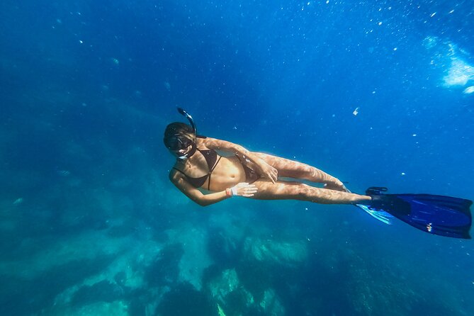 Half Day Cabo Snorkel Adventure with Lunch and Open Bar - From Pickup to the Catamaran: How the Morning Really Flows