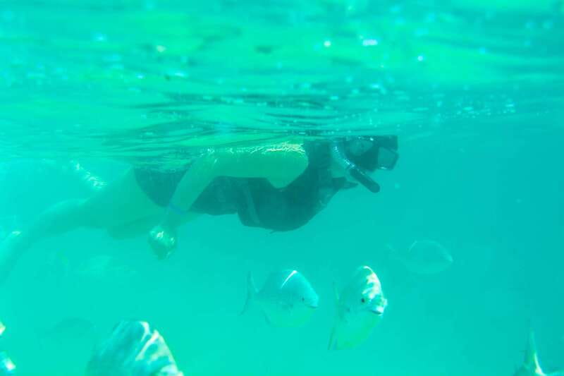 Half Day Guided Snorkel Tour in Los Cabos - Santa Maria Bay: Cliffs, Calmish Water, and Your First Underwater Look