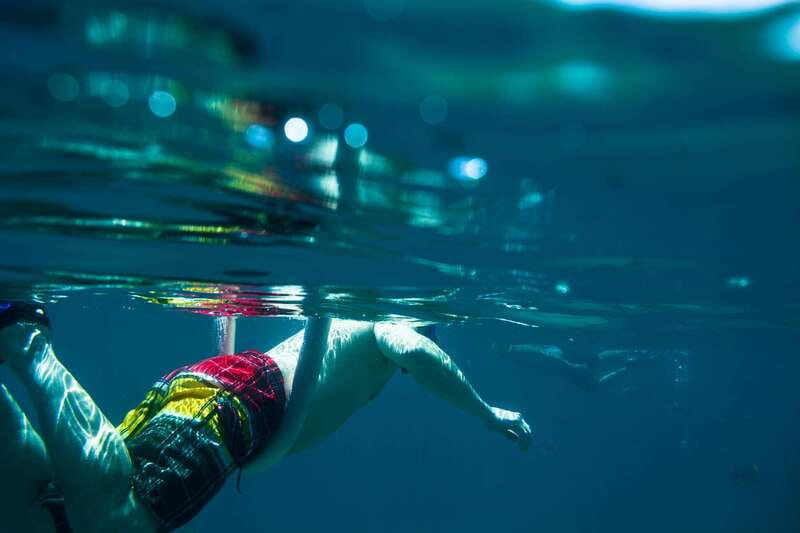 Half Day Guided Snorkel Tour in Los Cabos - The Guides: Bilingual Instruction and Real Sea-Life Spotting