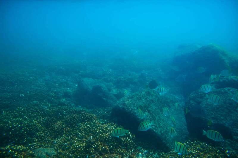 Half Day Guided Snorkel Tour in Los Cabos - How the 3 Hours Works on the Clock