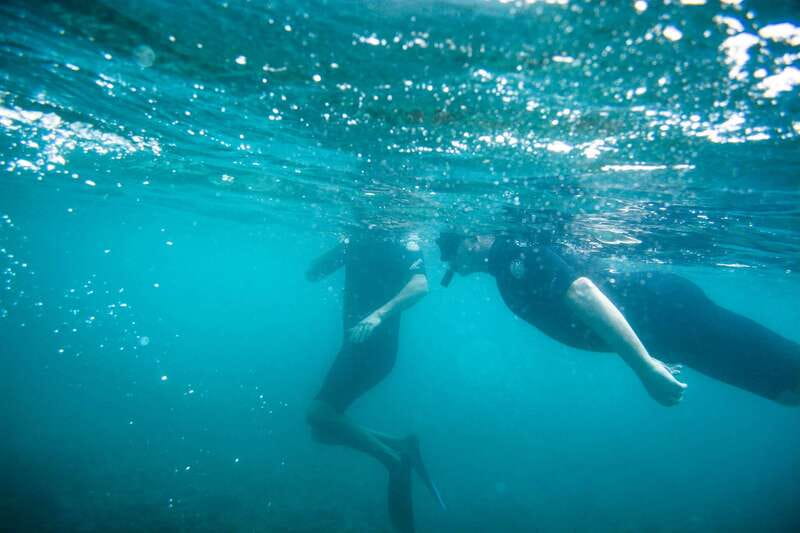 Half Day Guided Snorkel Tour in Los Cabos - Pickup and Timing: Where People Most Often Trip Up