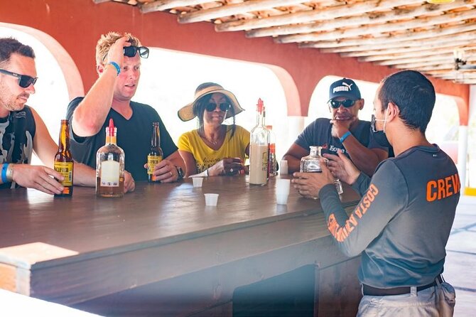 Half-Day San José del Cabo Zip Line and Rappel Adventure - Who this is best for (and who should think twice)