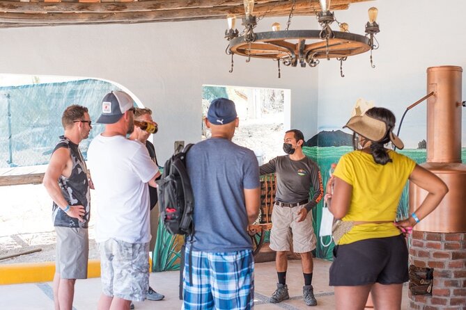 Half-Day San José del Cabo Zip Line and Rappel Adventure - The crew experience: jokes, instruction, and confidence