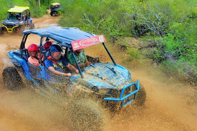 Half-day Wild Desert Polaris Razor UTV Tour - Key things to know before you go