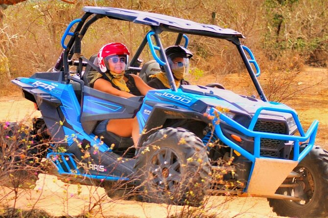 Half-day Wild Desert Polaris Razor UTV Tour - Insurance and Park Fees: The Budget Reality Check