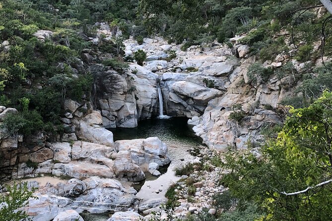 Hidden Waterfalls Hiking Adventure - Key Highlights That Make This Tour Worth It