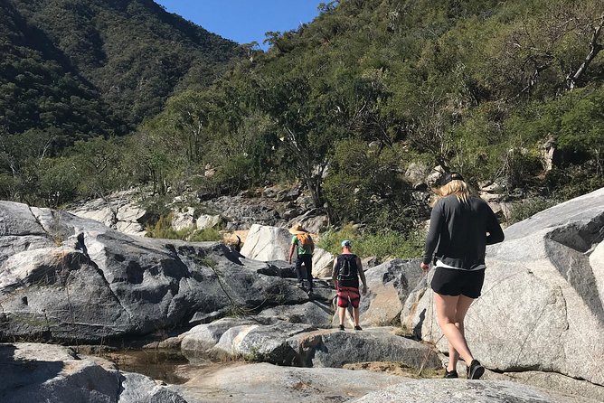 Hike the native Pericu road in Sierra de la Laguna. - Key highlights worth caring about