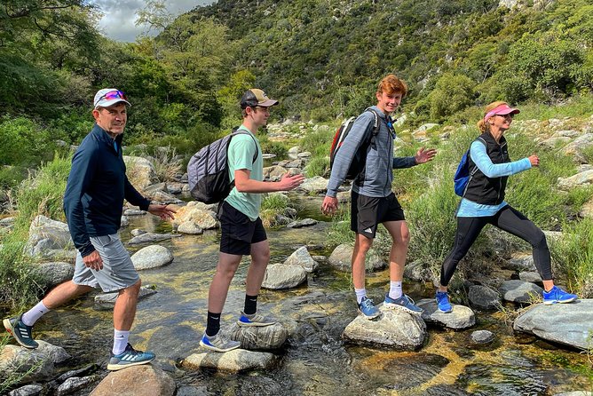 Hike the native Pericu road in Sierra de la Laguna. - Damiana tasting and protein-bar pacing: the snack strategy you’ll appreciate