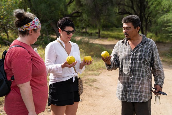 Hike the native Pericu road in Sierra de la Laguna. - Lunch at rancho culture: why the meal makes the day feel real