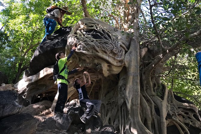 Hike the native Pericu road in Sierra de la Laguna. - Timing and the 2:00 pm start: planning for a full day