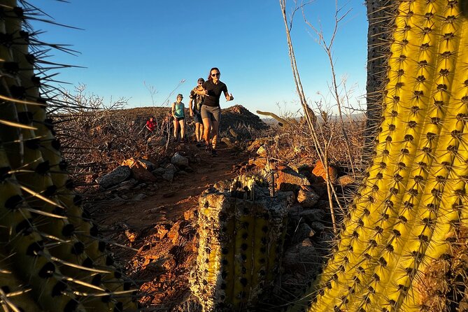 Hiking Todos Santos at Sunset - The hike itself: rocky, steep, and absolutely worth the effort