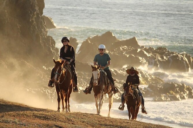 Horse Back Ridding Tour on the Pacific Ocean & Desert - Quick hits if you care about the details
