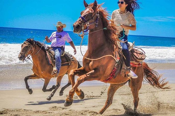 Horseback Riding & ATV Combo! Mountain Trails & Beautiful Beaches of BAJA! - Key highlights at a glance