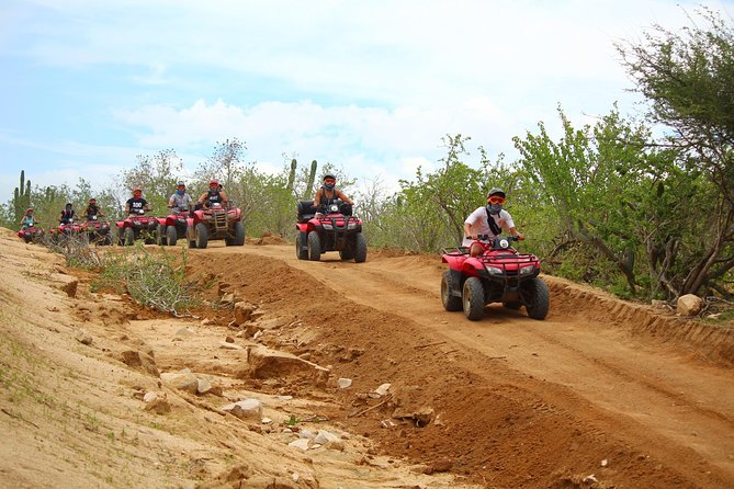 Horseback Riding & ATV Combo! Mountain Trails & Beautiful Beaches of BAJA! - Wildlife spotting and guide help: why this combo isn’t just driving
