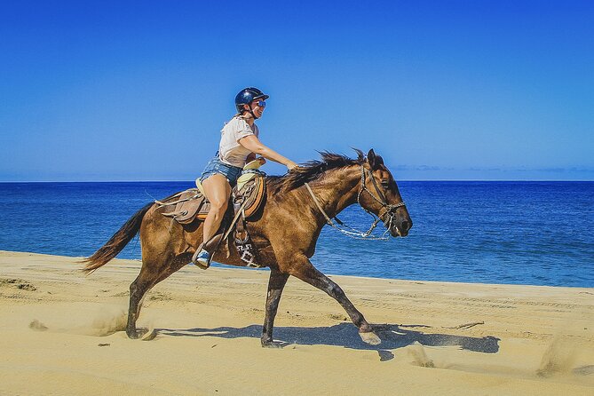 Horseback Riding Beach and Desert in Cabo - Getting There From Your Hotel: Pickup That Actually Helps