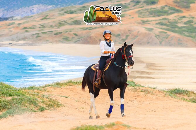 Horseback Riding Beach and Desert in Cabo - Tequila Tasting and the Ride’s End: What Happens After You Dismount