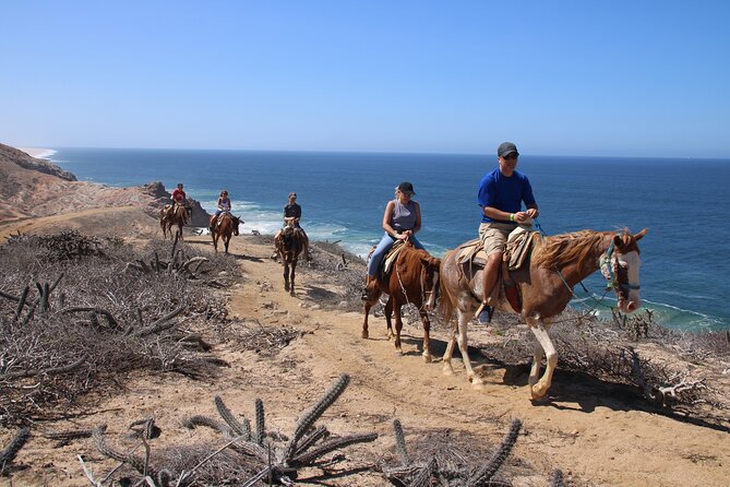 Horseback Riding Experience in Rancho San Cristobal - Key points before you go