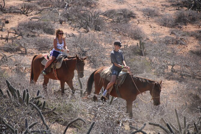 Horseback Riding Experience in Rancho San Cristobal - Quelele restaurant: where the ride ends and the meal starts
