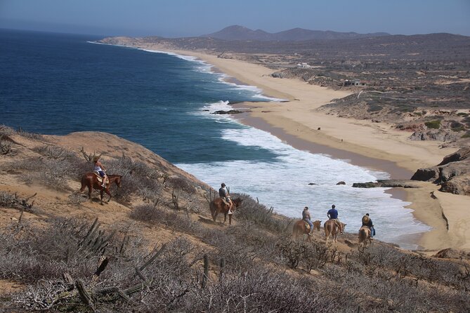 Horseback Riding Experience in Rancho San Cristobal - Guides make the difference: early-settler history and nature talk that feels practical