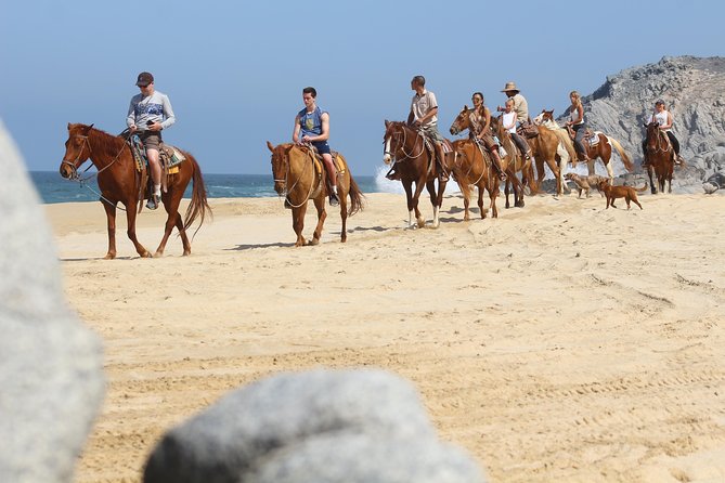 Horseback Riding Tour in Cabo San Lucas - Key Highlights at Rancho Carisuva (Cabo Horseback Riding Tour)