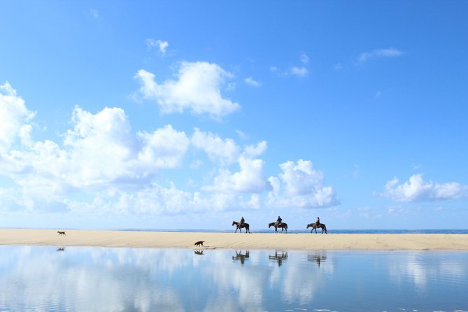 Horseback Riding Tour in Cabo San Lucas - Cabo Horseback Riding: The Value Pitch (and the Real Costs)