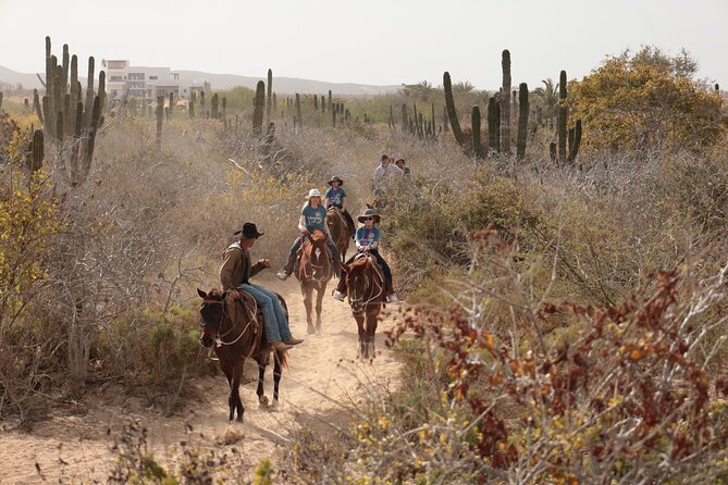 Horseback Riding Tour in Cabo San Lucas - The Ride Itself: Desert, Beach, Cacti, and Pacific Views