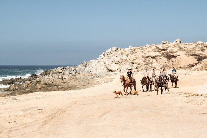 Horseback Riding Tour in Cabo San Lucas - Timing and Transport: Why the Day Can Feel Longer Than the Ride