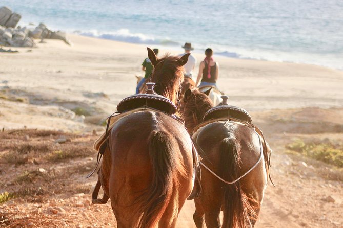 Horseback Riding Tour in Cabo San Lucas - From Your Hotel to the Ranch: How the Day Starts